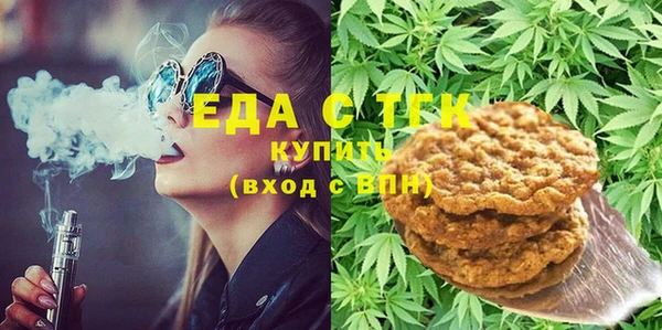 индика Горнозаводск