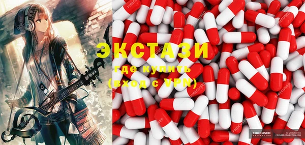индика Горнозаводск
