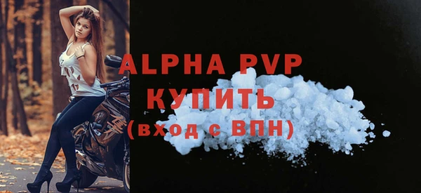 индика Горнозаводск
