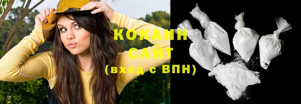 индика Горнозаводск