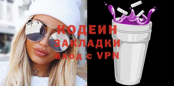 индика Горнозаводск
