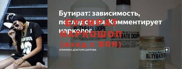 индика Горнозаводск