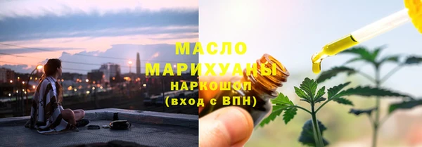 индика Горнозаводск
