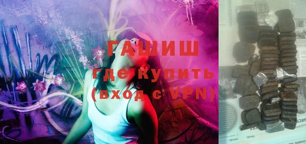 индика Горнозаводск