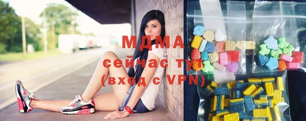 индика Горнозаводск