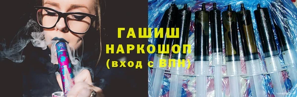 индика Горнозаводск