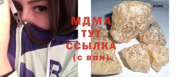 индика Горнозаводск