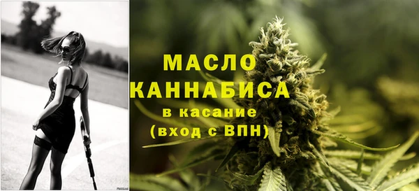 индика Горнозаводск