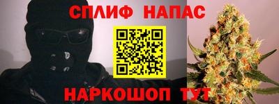 прущие грибы Донецк