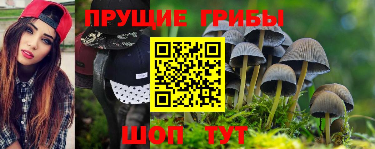 Галлюциногенные грибы GOLDEN TEACHER Обь